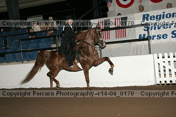 Proof Number r14-04_0170